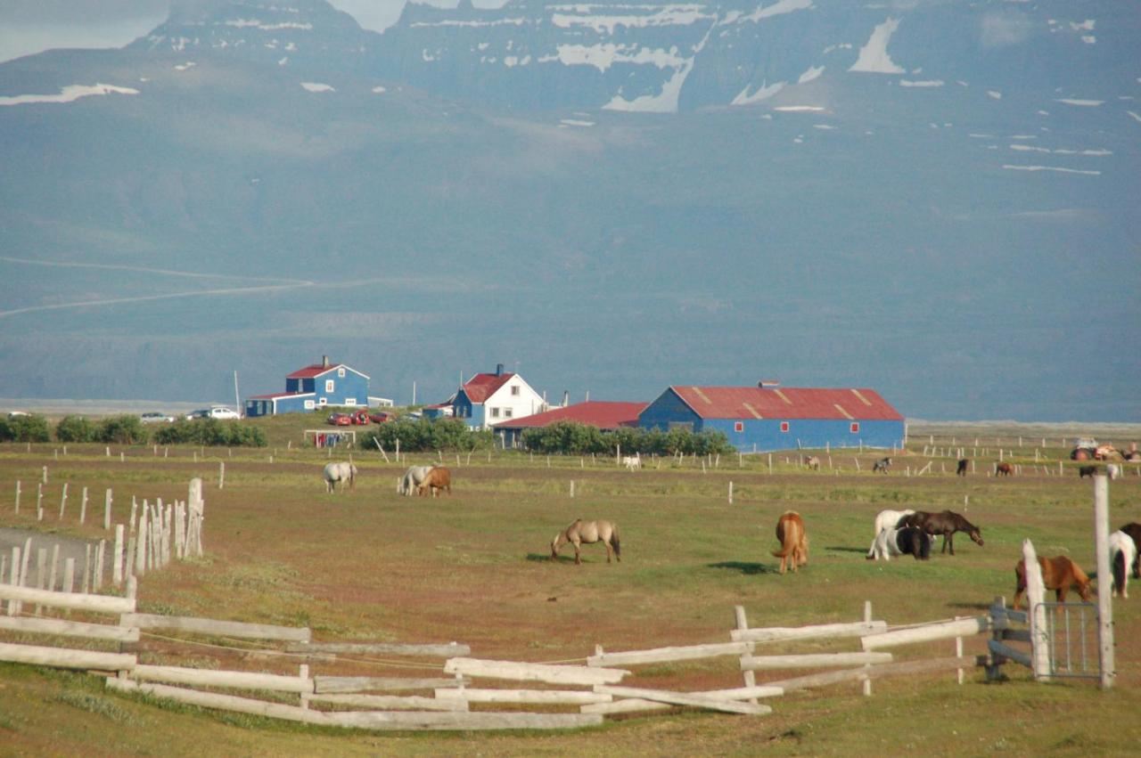 Húsey Hostel&Horsefarm Egilsstadir Exterior foto